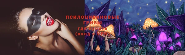 тгк Бугульма