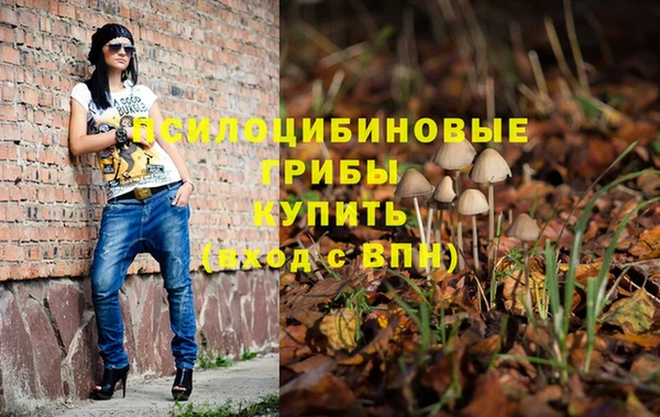 кристаллы Болотное